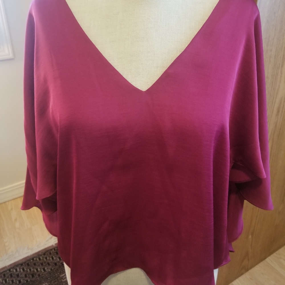 Lovers & Friends Raspberry Top - Picture 3 of 7